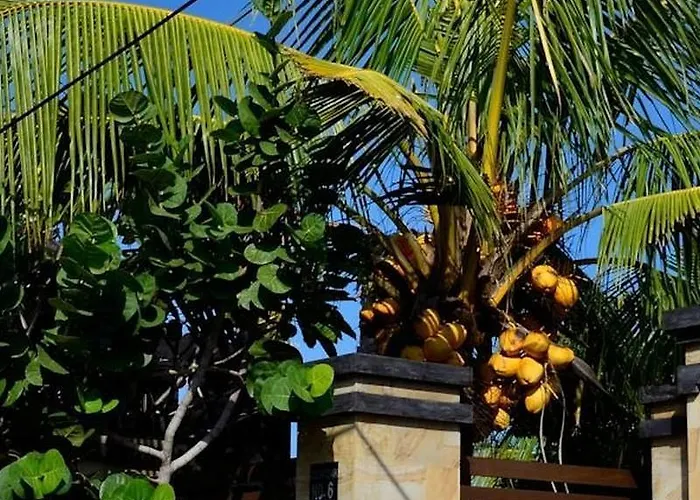 Tanjung Sari Guest house 3*