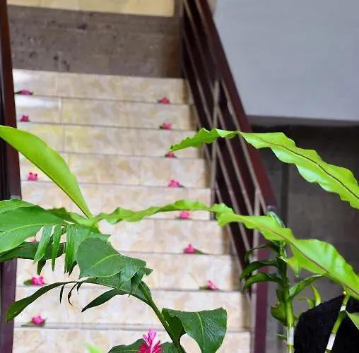 Tanjung Sari Guest house